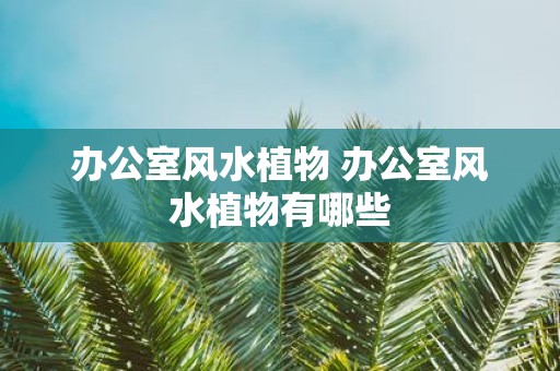 办公室风水植物 办公室风水植物有哪些