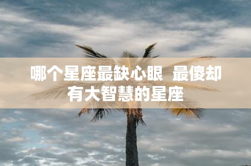 哪个星座最缺心眼 最傻却有大智慧的星座
