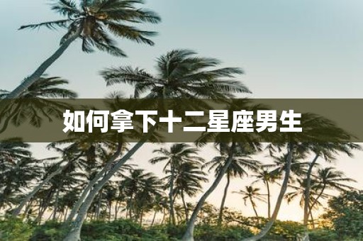 如何拿下十二星座男生
