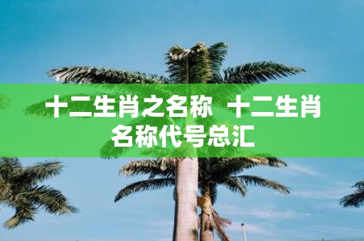 十二生肖之名称 十二生肖名称代号总汇