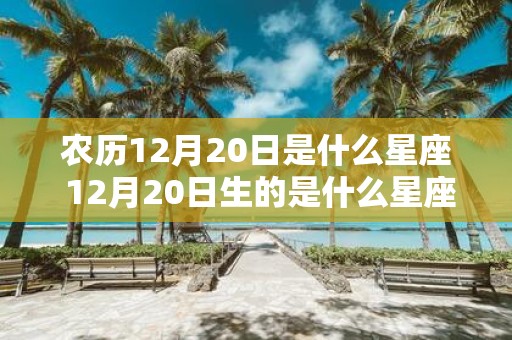 农历12月20日是什么星座 12月20日生的是什么星座