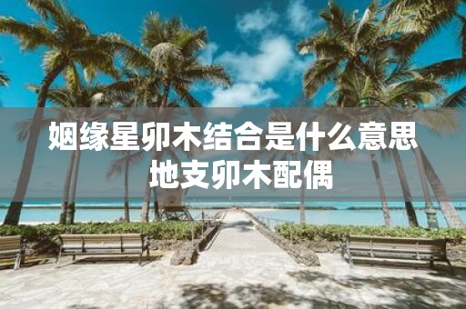 姻缘星卯木结合是什么意思 地支卯木配偶