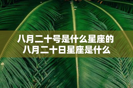八月二十号是什么星座的 八月二十日星座是什么