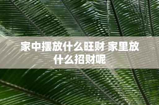 家中摆放什么旺财 家里放什么招财呢