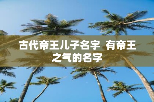 古代帝王儿子名字 有帝王之气的名字