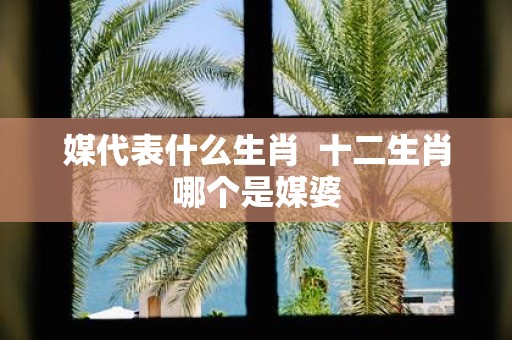 媒代表什么生肖 十二生肖哪个是媒婆