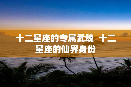 十二星座的专属武魂 十二星座的仙界身份