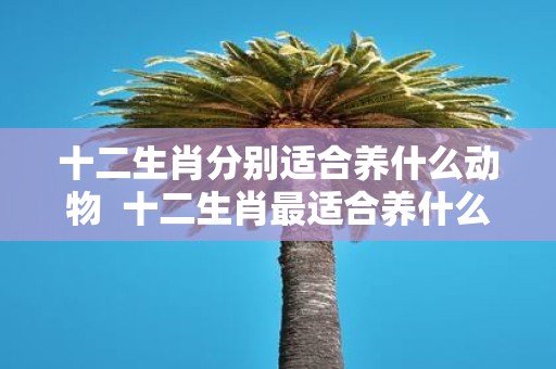 十二生肖分别适合养什么动物 十二生肖最适合养什么动物