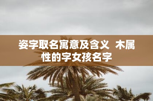 姿字取名寓意及含义 木属性的字女孩名字