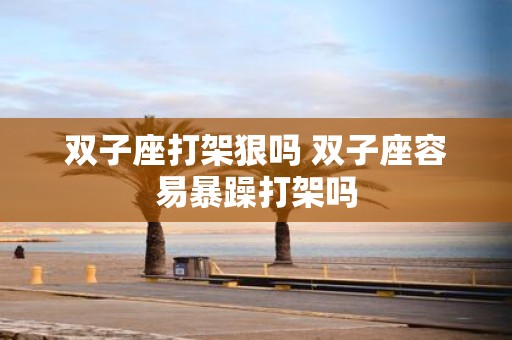 双子座打架狠吗 双子座容易暴躁打架吗