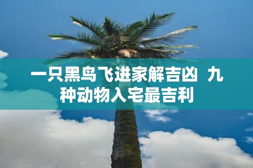 一只黑鸟飞进家解吉凶 九种动物入宅最吉利