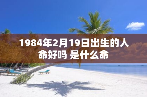 1984年2月19日出生的人命好吗 是什么命