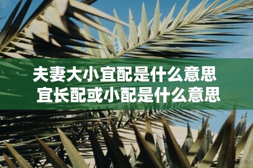 夫妻大小宜配是什么意思 宜长配或小配是什么意思