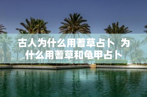 古人为什么用蓍草占卜 为什么用蓍草和龟甲占卜