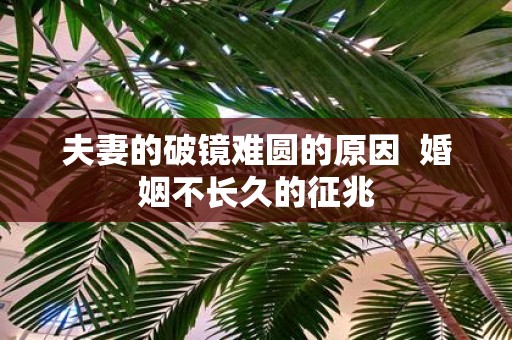 夫妻的破镜难圆的原因 婚姻不长久的征兆