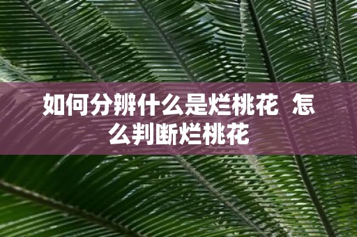 如何分辨什么是烂桃花 怎么判断烂桃花