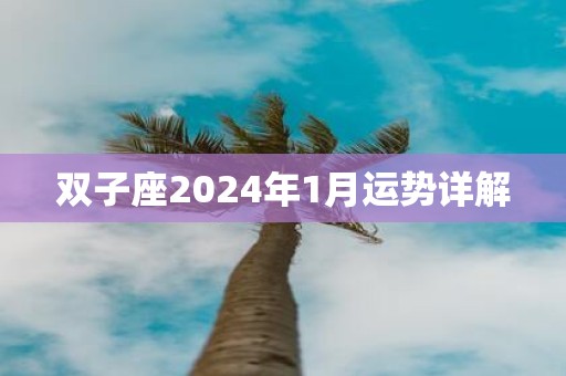 双子座2025年1月运势详解