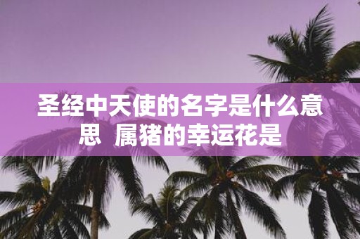 圣经中天使的名字是什么意思 属猪的幸运花是