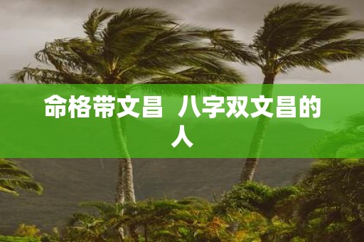 命格带文昌 八字双文昌的人
