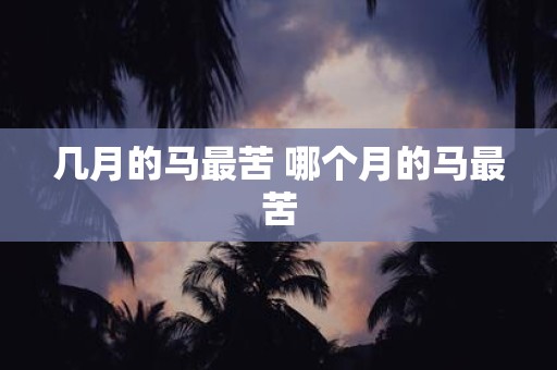 几月的马最苦 哪个月的马最苦