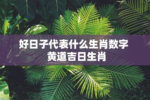 好日子代表什么生肖数字 黄道吉日生肖