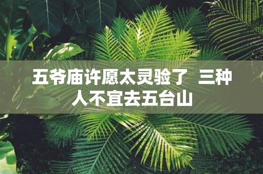 五爷庙许愿太灵验了 三种人不宜去五台山