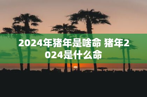 2025年猪年是啥命 猪年2025是什么命
