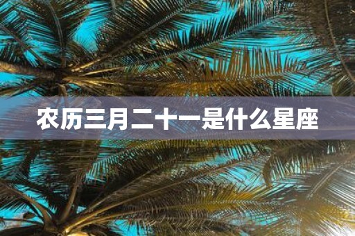 农历三月二十一是什么星座