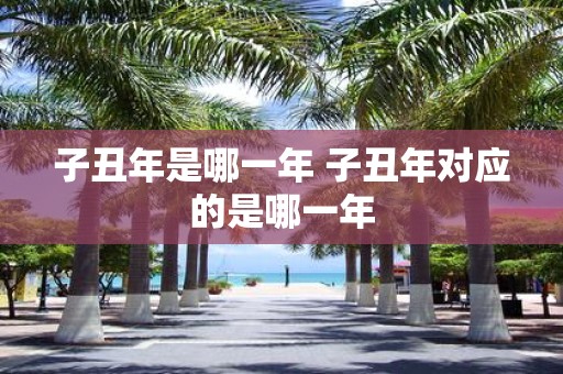 子丑年是哪一年 子丑年对应的是哪一年