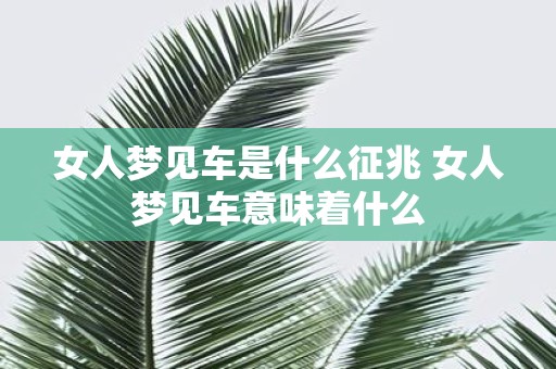 女人梦见车是什么征兆 女人梦见车意味着什么