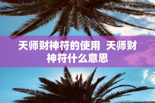 天师财神符的使用 天师财神符什么意思