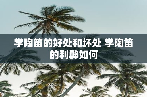 学陶笛的好处和坏处 学陶笛的利弊如何