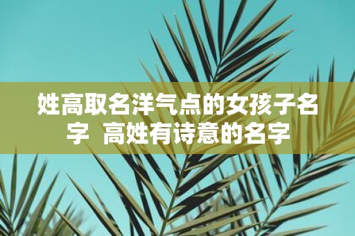 姓高取名洋气点的女孩子名字 高姓有诗意的名字