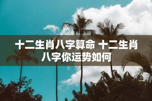十二生肖八字算命 十二生肖八字你运势如何