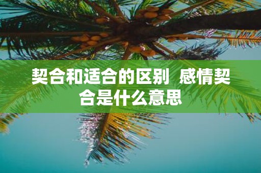 契合和适合的区别 感情契合是什么意思