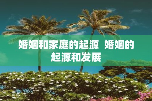 婚姻和家庭的起源 婚姻的起源和发展