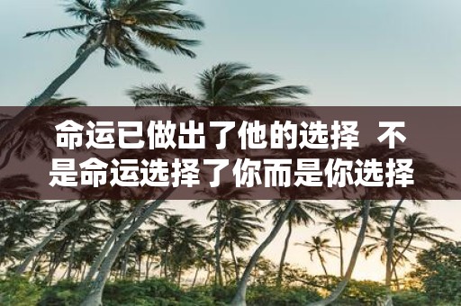 命运已做出了他的选择 不是命运选择了你而是你选择了命运