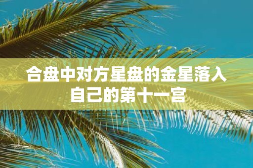 合盘中对方星盘的金星落入自己的第十一宫
