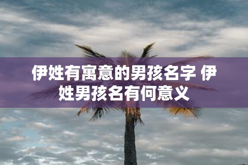 伊姓有寓意的男孩名字 伊姓男孩名有何意义