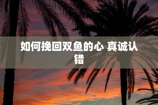 如何挽回双鱼的心 真诚认错