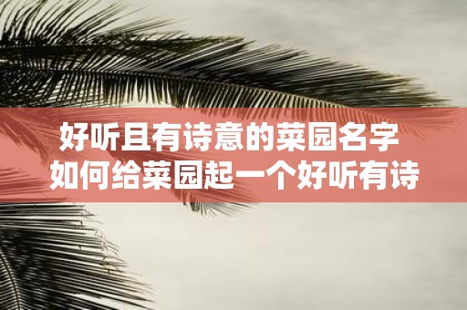 好听且有诗意的菜园名字 如何给菜园起一个好听有诗意的名字