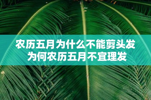 农历五月为什么不能剪头发 为何农历五月不宜理发