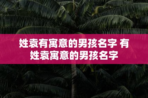 姓袁有寓意的男孩名字 有姓袁寓意的男孩名字