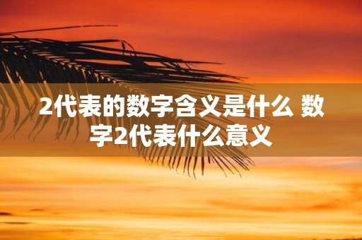 2代表的数字含义是什么 数字2代表什么意义