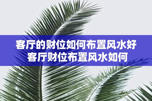 客厅的财位如何布置风水好 客厅财位布置风水如何