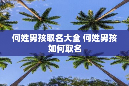 何姓男孩取名大全 何姓男孩如何取名