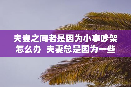 夫妻之间老是因为小事吵架怎么办 夫妻总是因为一些小事吵架
