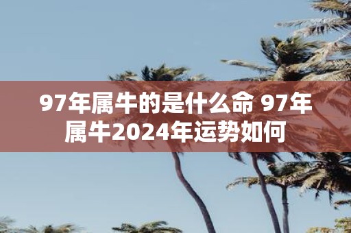 97年属牛的是什么命 97年属牛2025年运势如何