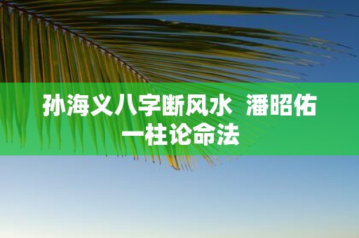 孙海义八字断风水 潘昭佑一柱论命法