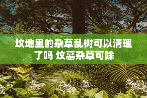 坟地里的杂草乱树可以清理了吗 坟墓杂草可除